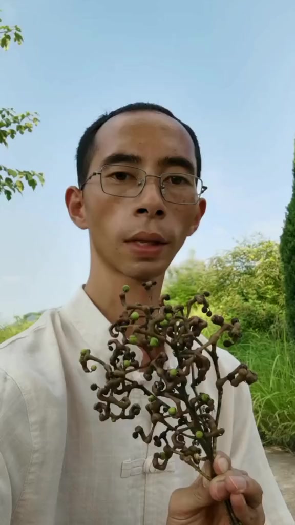 拐枣是一种野果,当水果吃、熬糖、酿酒、泡酒,种子醒酒解酒