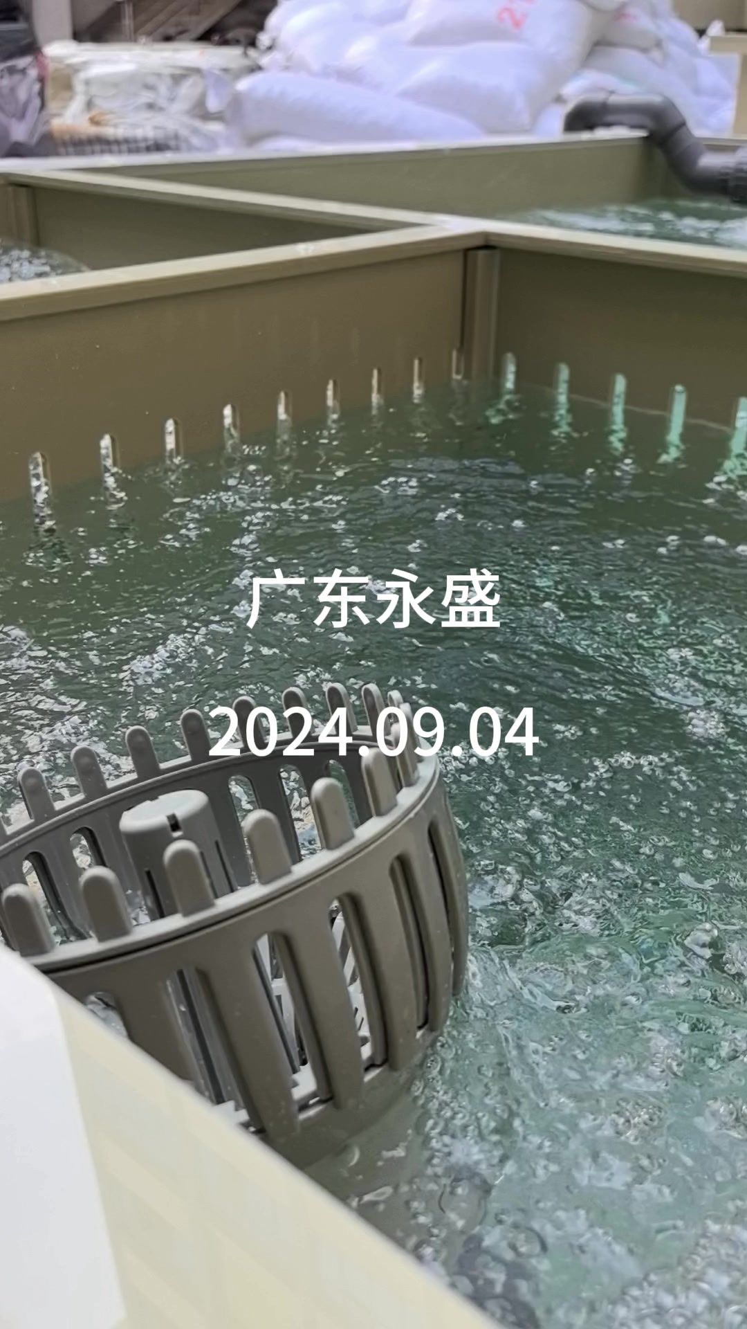 3*2*1.2分隔方形pp池,防大鱼吃小鱼#养殖设备#支持定做各种尺寸