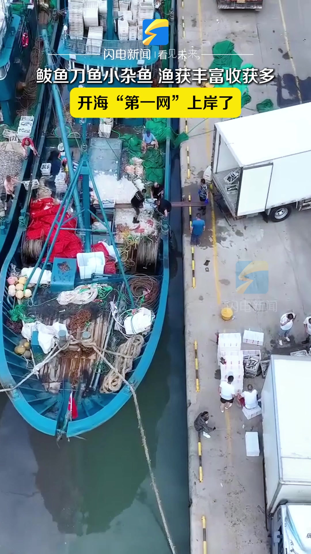 开海“第一网”上岸!威海荣成渔获丰富收获多