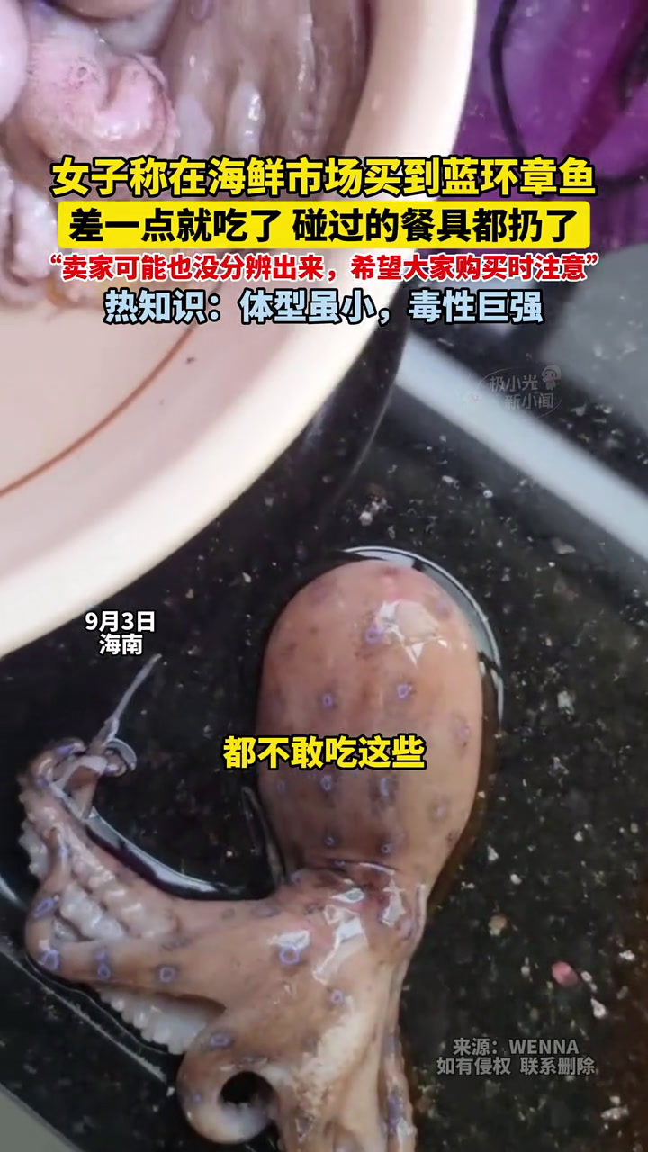女子称在海鲜市场买到蓝环章鱼,差一点就吃了,碰过的餐具都扔了,“卖家可能也没分辨出来,希望