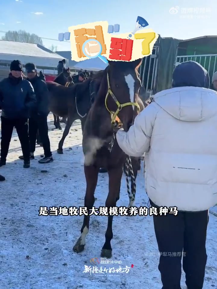 “科”到了|QQ飞车出新疆文创版本啦!首辆随机特性双形态幻形A车-新疆烧烤车,居然可以幻形