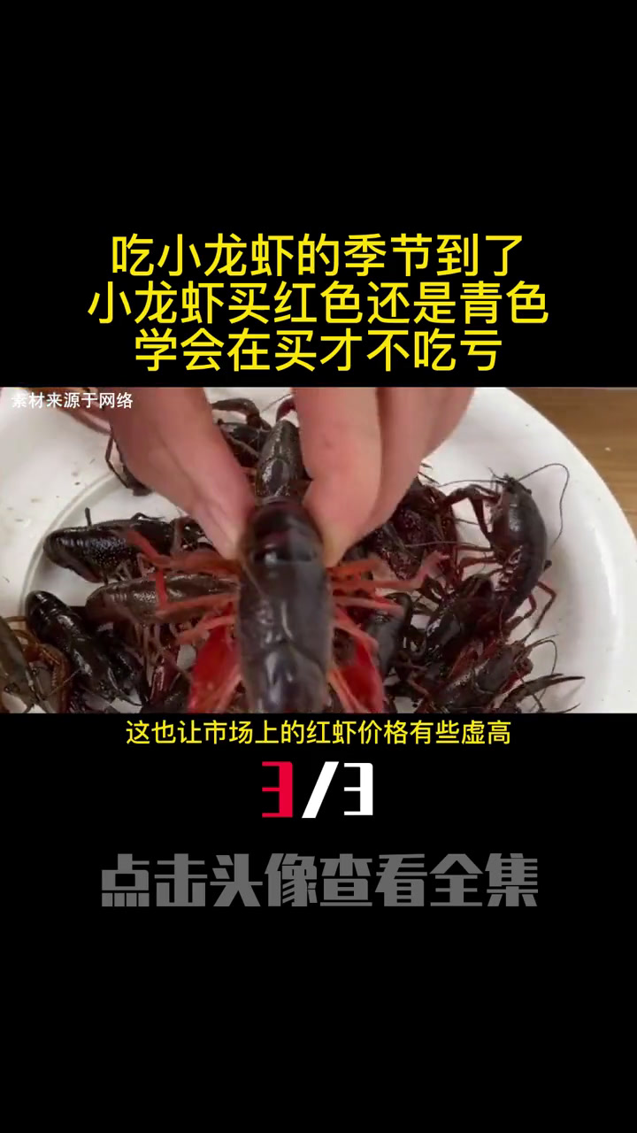 吃小龙虾的季节到了,小龙虾买红色还是青色,学会在买才不吃亏(