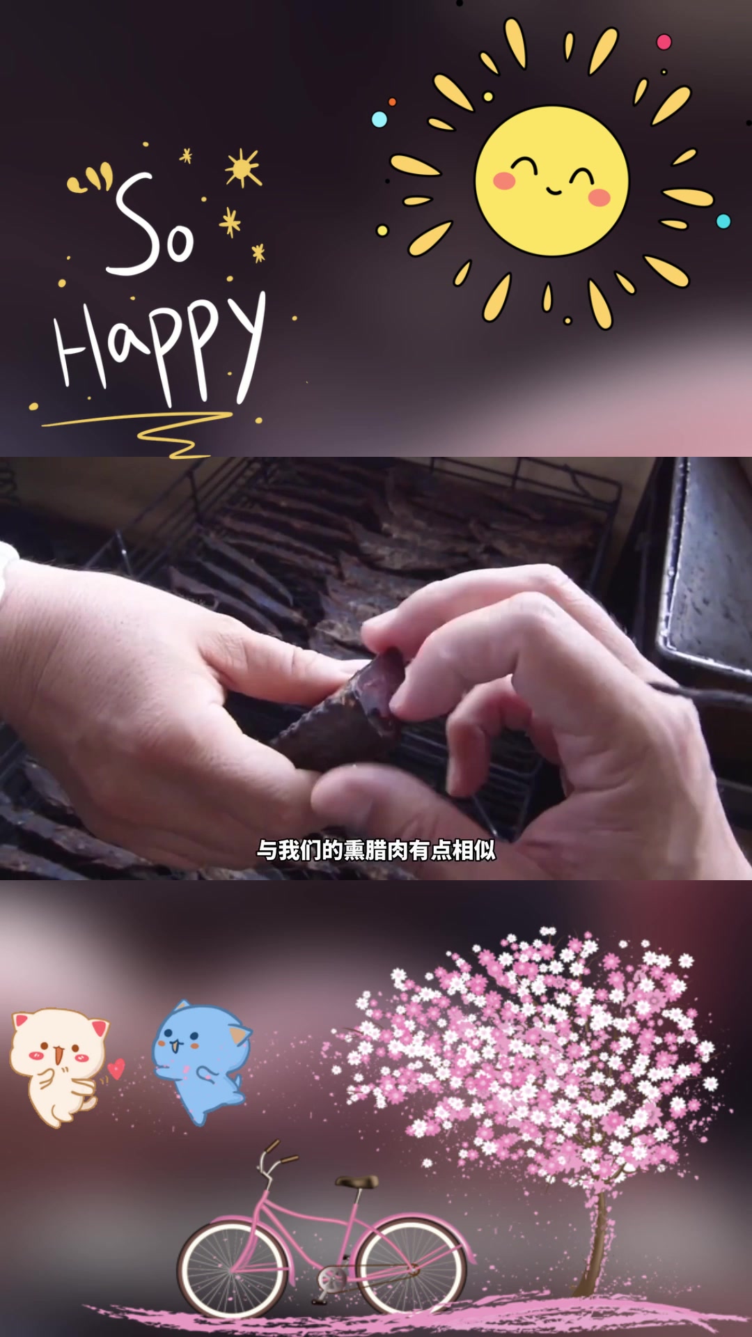 鲣鱼干,吉尼斯世界纪录认证的最硬食物