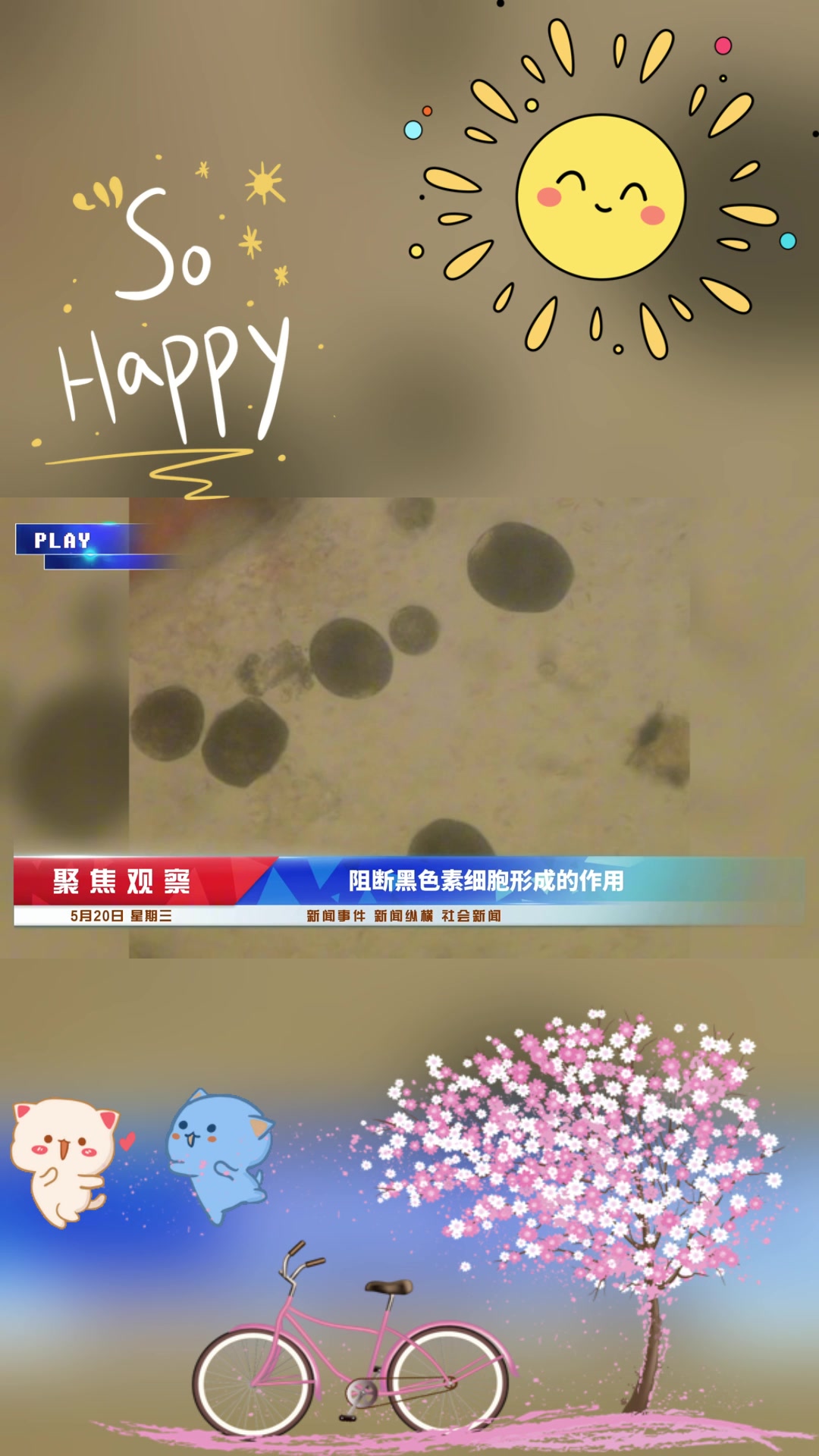 1. 新加坡鳄鱼油:肌肤的水润秘密武器!