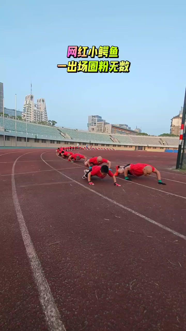 圈粉无数的张家港小鳄鱼又出现了