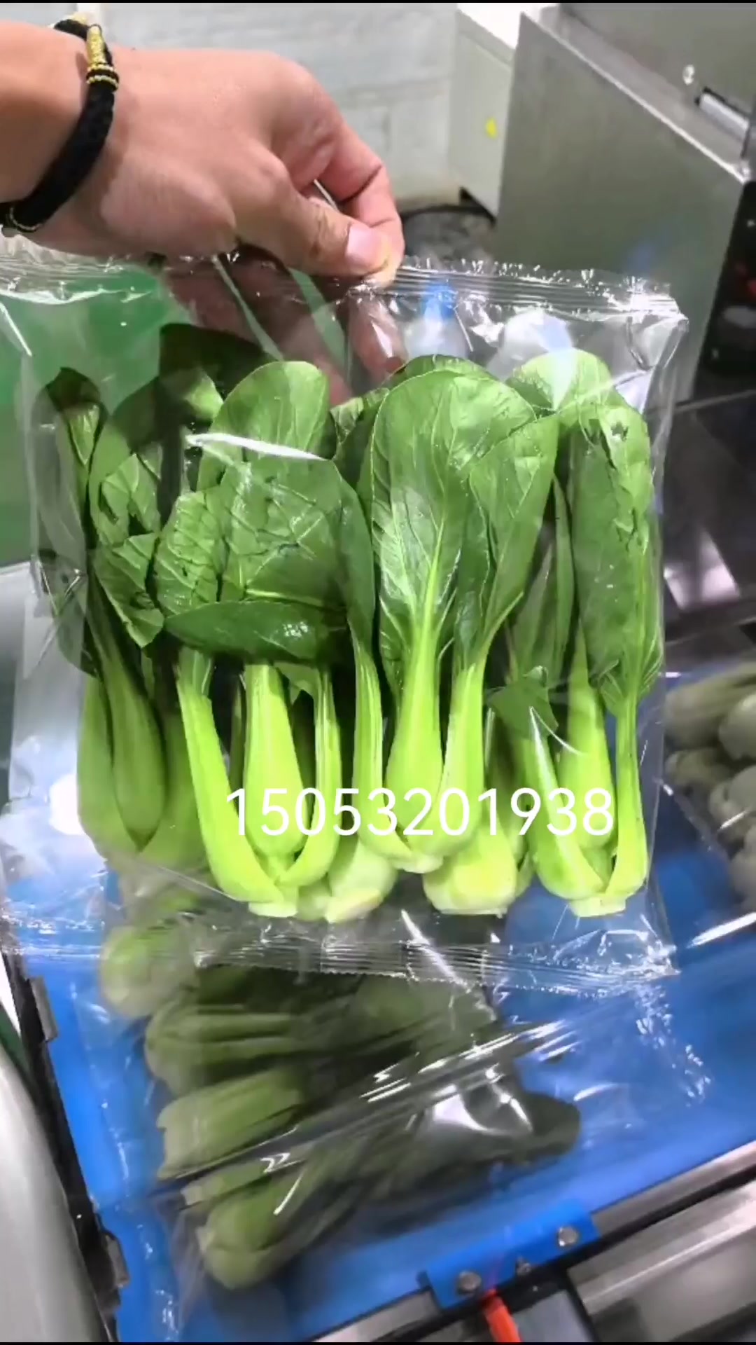 蔬菜自动称重分选贴标打码包装机全品类蔬菜水果生鲜食品打包设备