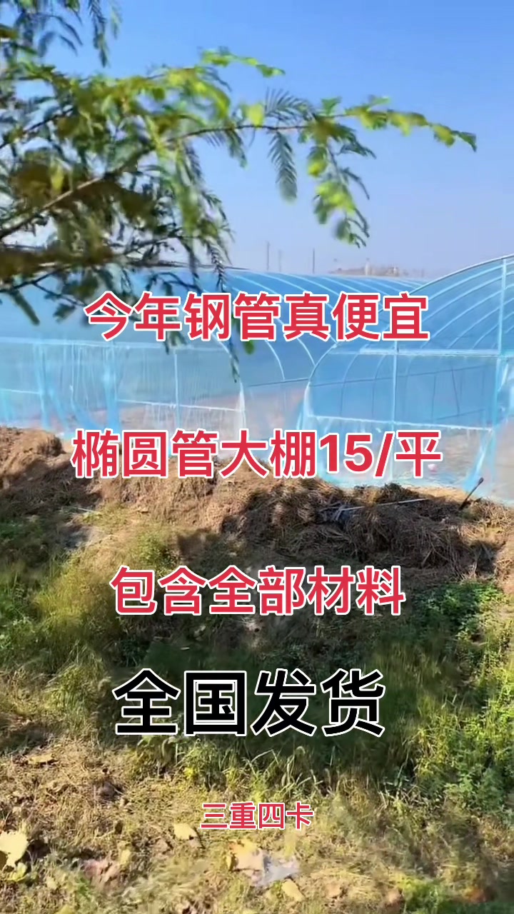 全钢架椭圆管蔬菜大棚
