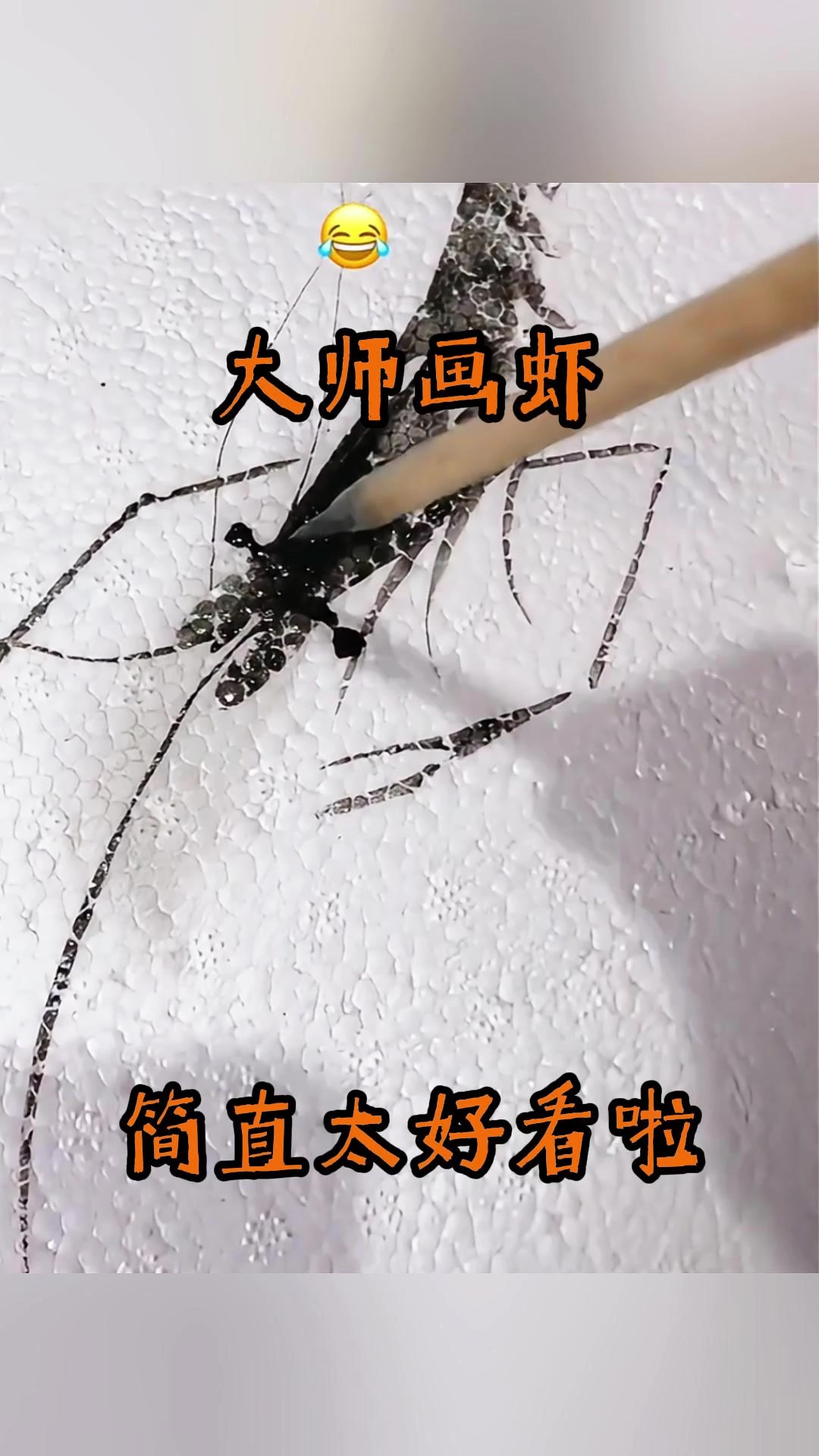 大师画虾,简直太好看啦!