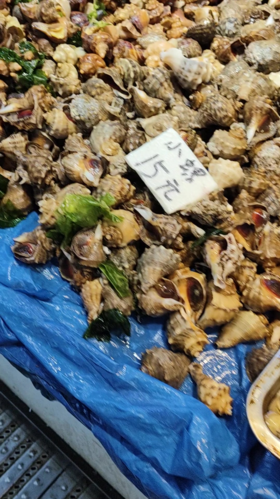 大连鱼类品种太丰富了,太鲜了