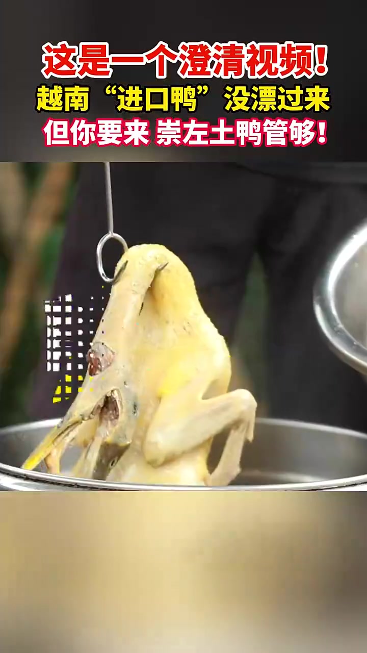 越南鸭子随洪水漂流到广西崇左?官方辟谣