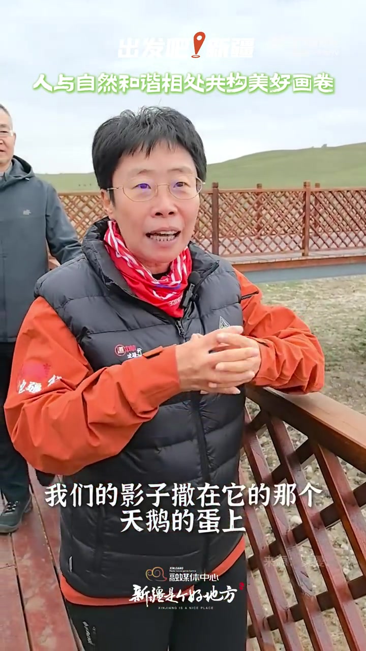 在巴音布鲁克草原看天鹅湖,人与自然和谐共处构建美好画卷