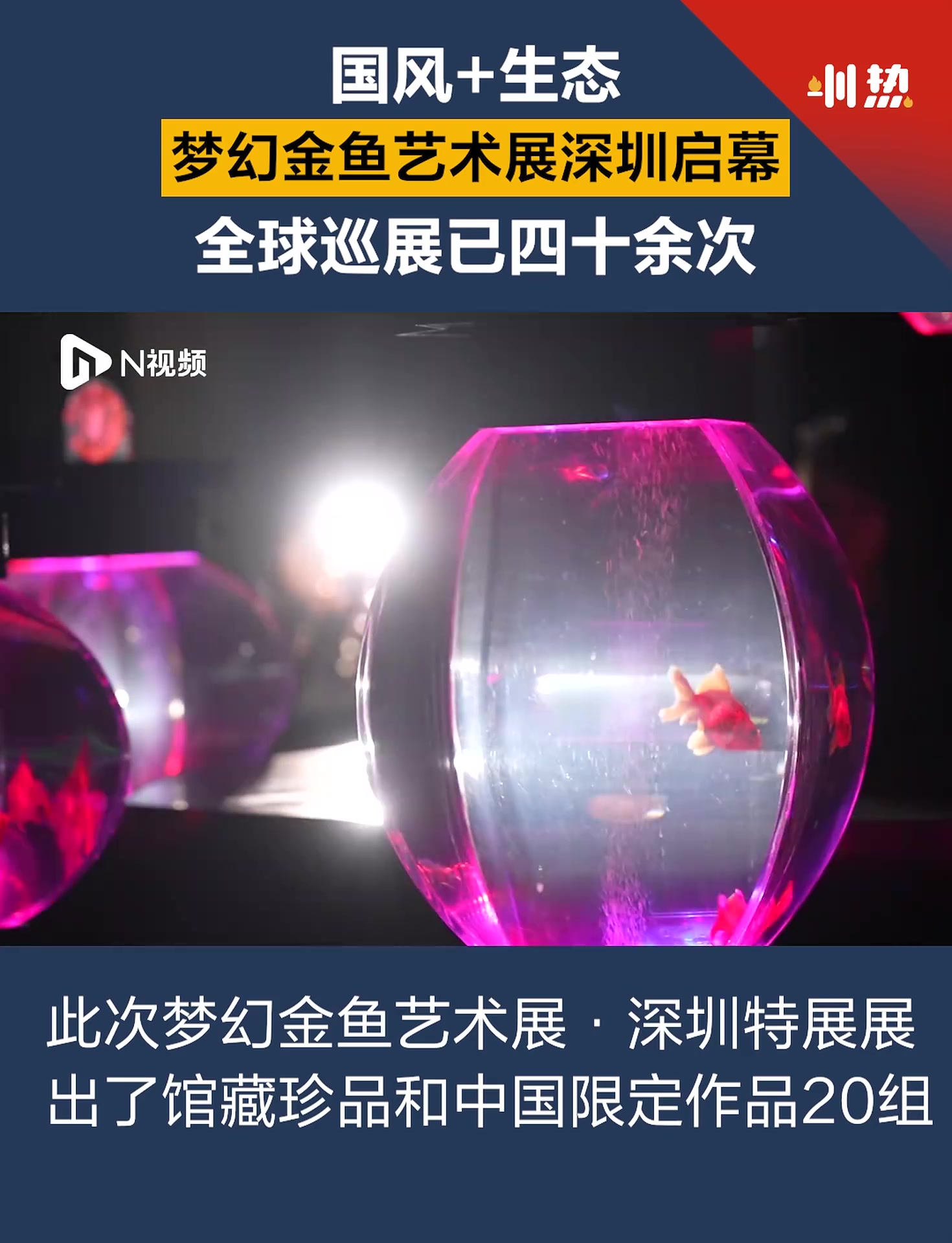 国风+生态!梦幻金鱼艺术展深圳启幕,全球巡展已四十余次