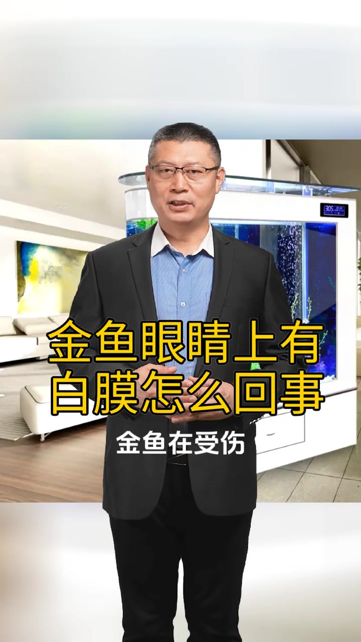 金鱼眼睛上有白膜怎么回事