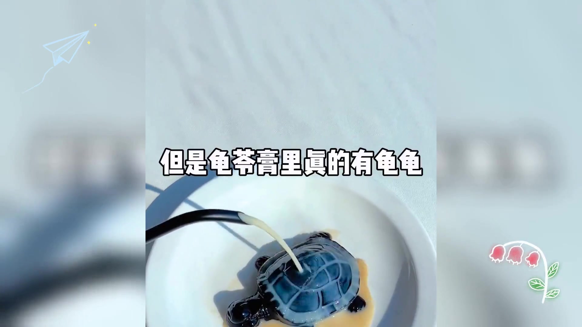 龟苓膏藏惊喜 Q弹美味龟元素添趣
