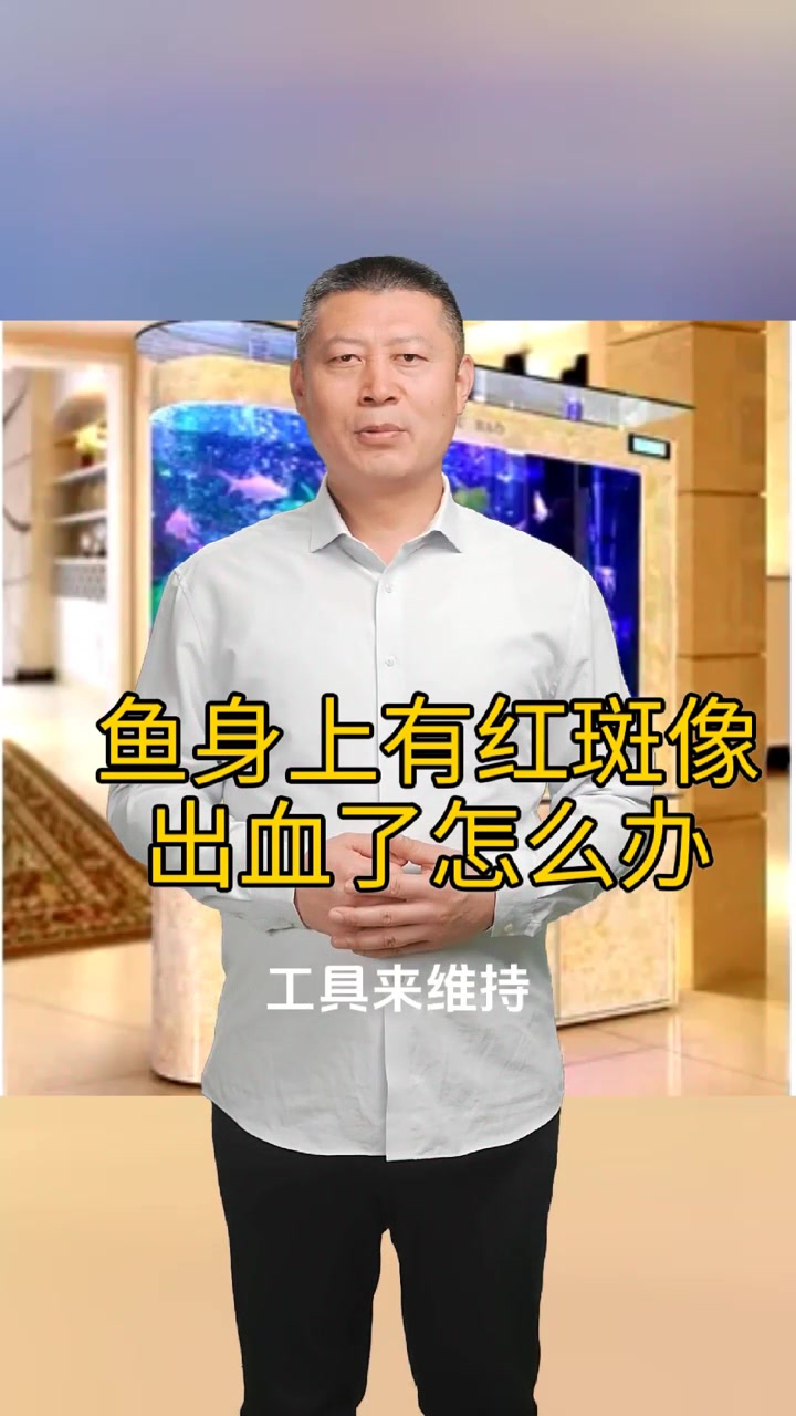 鱼身上有红斑像出血了怎么办