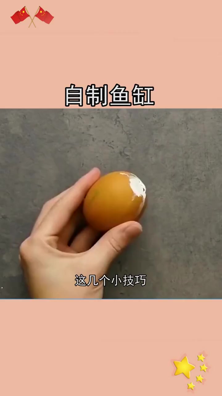 自制鱼缸