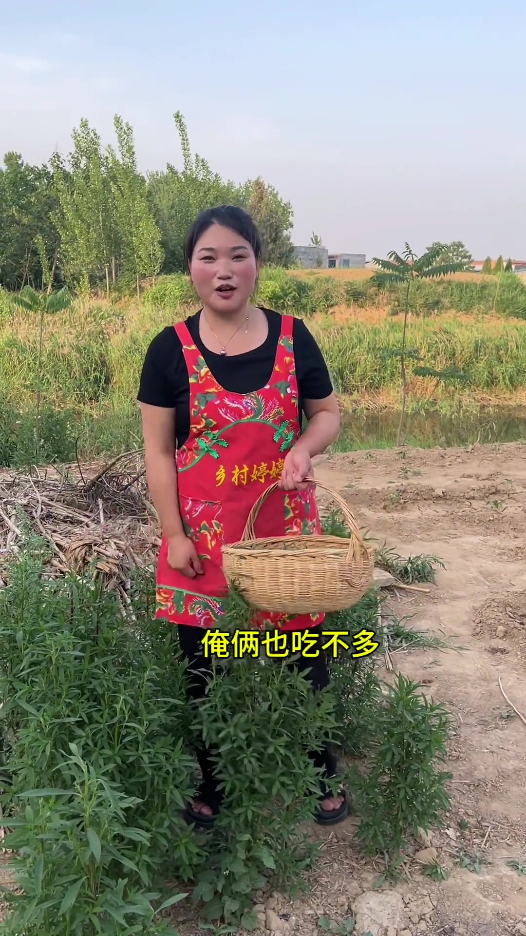 今天熬了新鲜麦仁汤,又蒸了扫树苗,简简单单的一顿农家饭河南美好推荐官