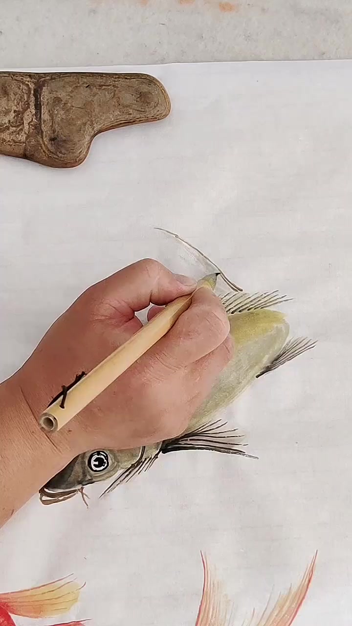 教你画鲤鱼 零基础学画画 画鲤鱼
