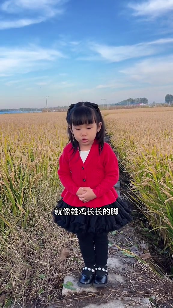 中国地图像雄鸡,昂首挺胸真神气!