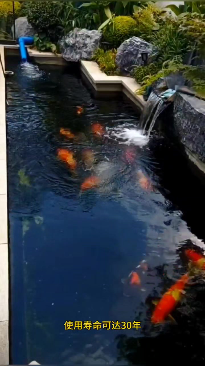 锦鲤鱼池安装智能鱼池过滤器后就真的不用做传统过滤池了吗
