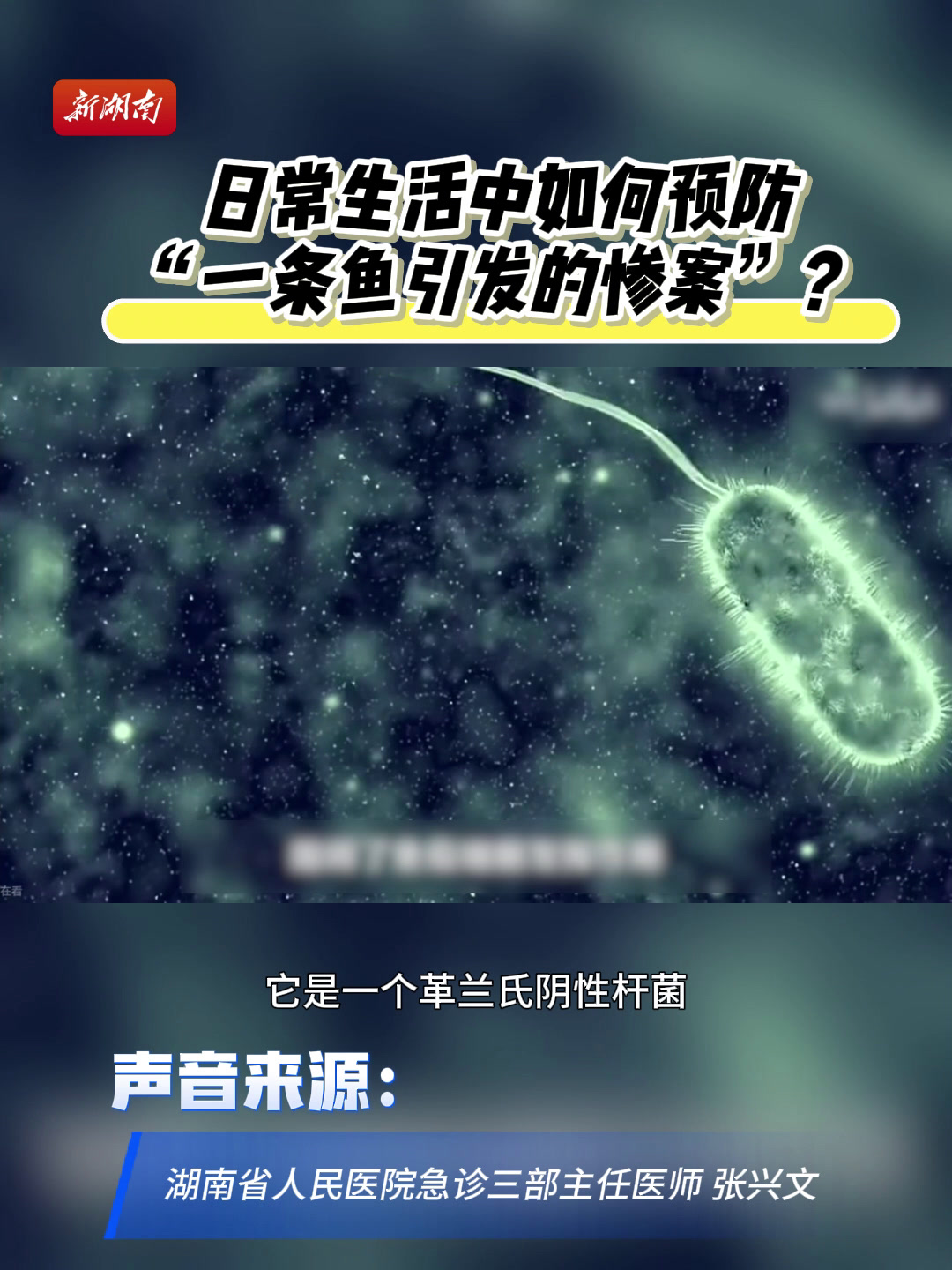 警惕“海鲜杀手”创伤弧菌!日常生活中如何预防“一条鱼引发的惨案”?