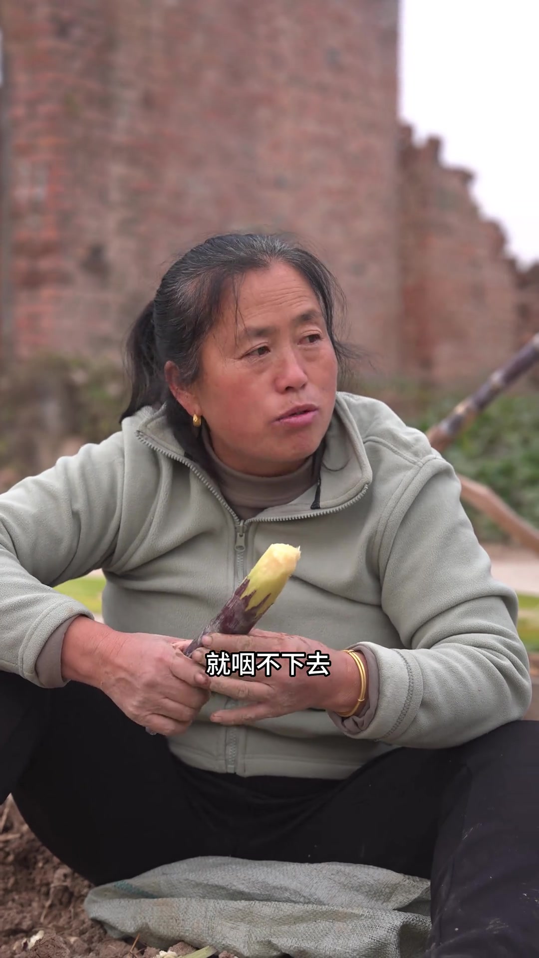 放下手中的工作,放松身心,和家人去地里干活说说笑笑,吃着家常便饭,反而是一种轻松自在的心情