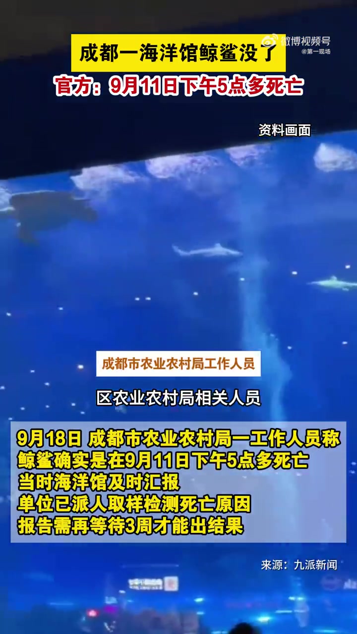 近日,成都浩海立方海洋馆,鲸鲨疑似死亡。网友视频显示,2022年左右,该海洋馆有两条鲸鲨,
