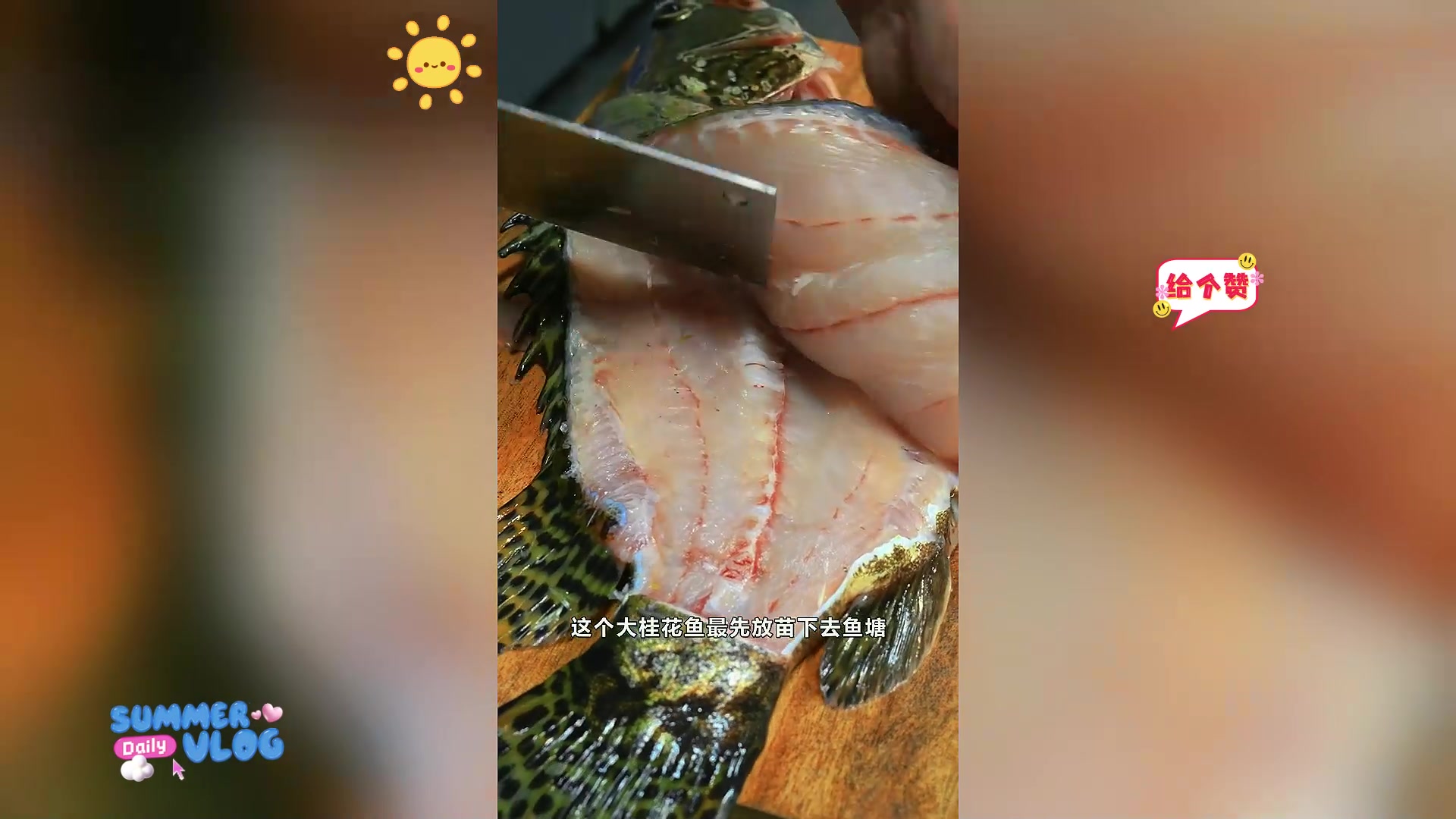 试过山水养的桂花鱼做的鱼生吗?