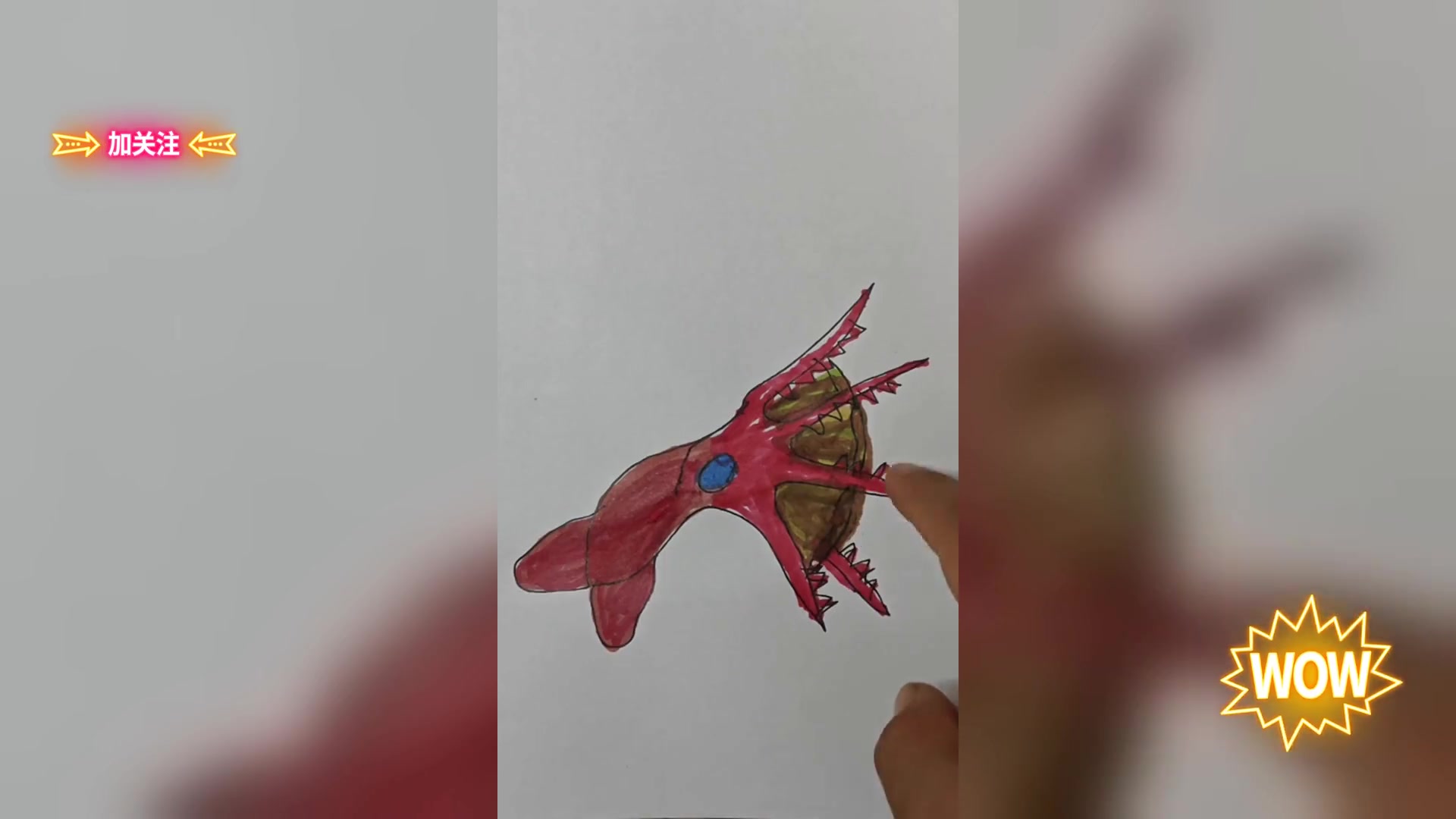 神秘吸血鬼鱿鱼又名幽灵蛸