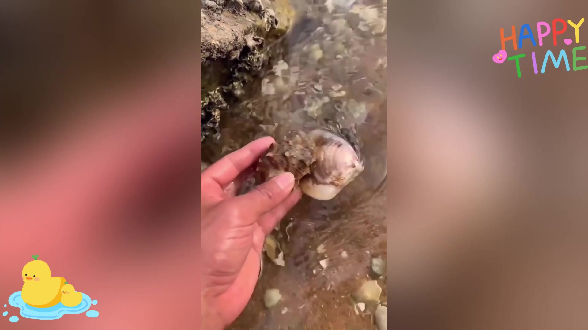 保护海洋,拒绝食用鲨鱼翅