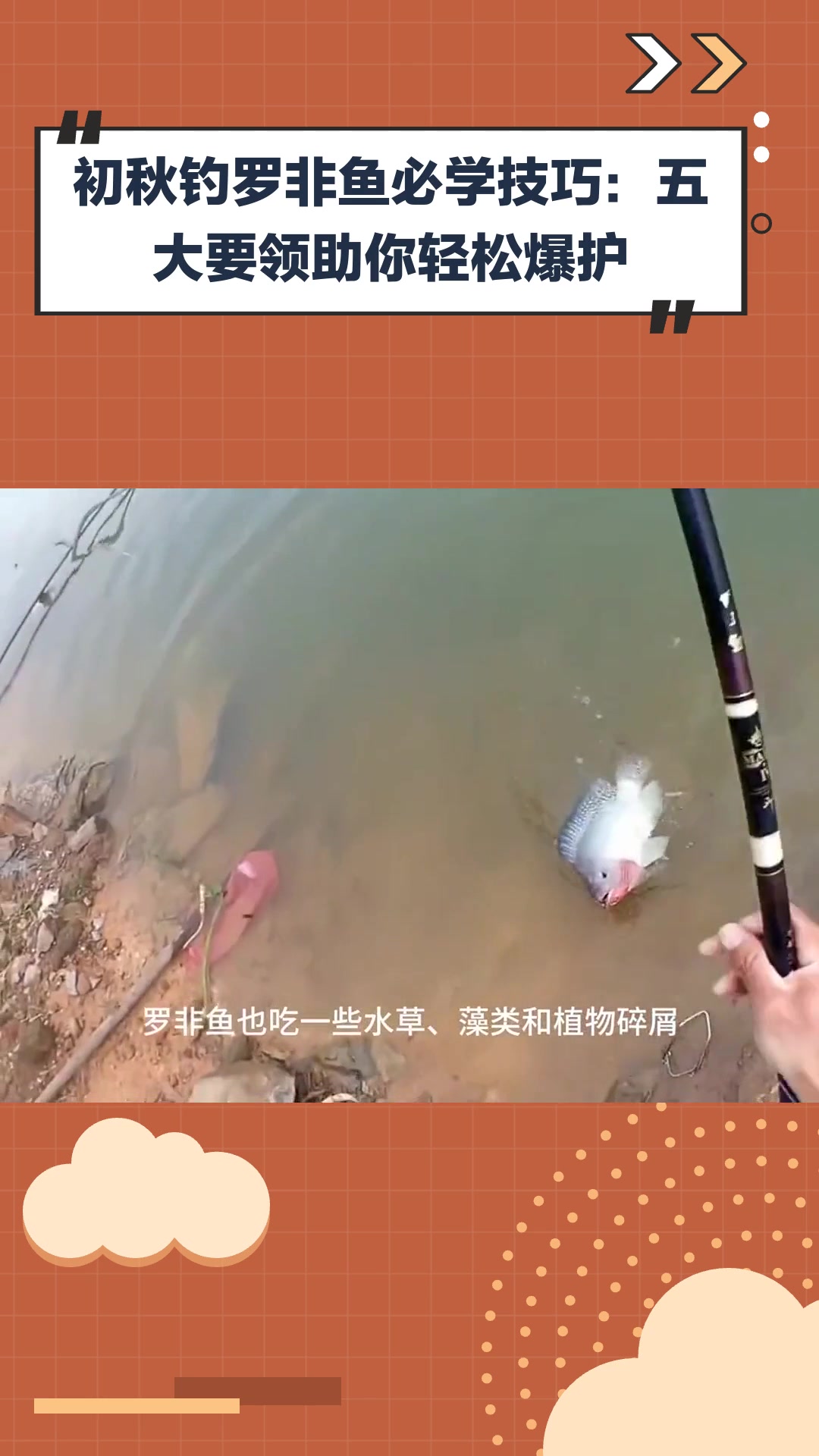 初秋钓罗非鱼必学技巧:五大要领助你轻松爆护