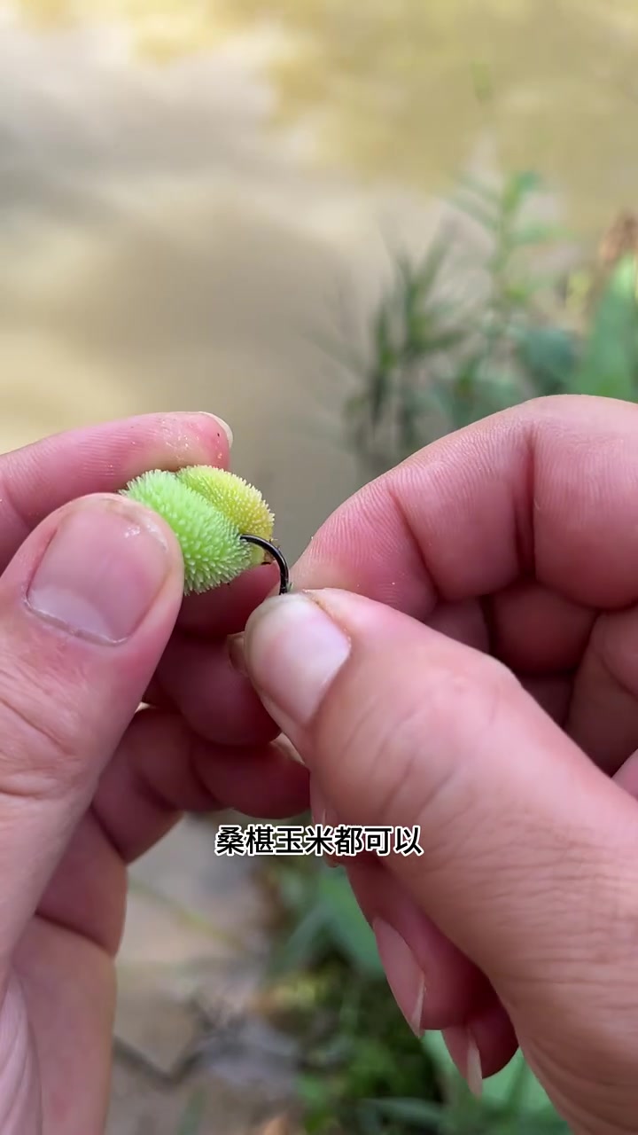 新型浮钓草鱼线组,手竿海竿矶竿路亚竿都可以用,针对这个季节的草鱼效果特别好