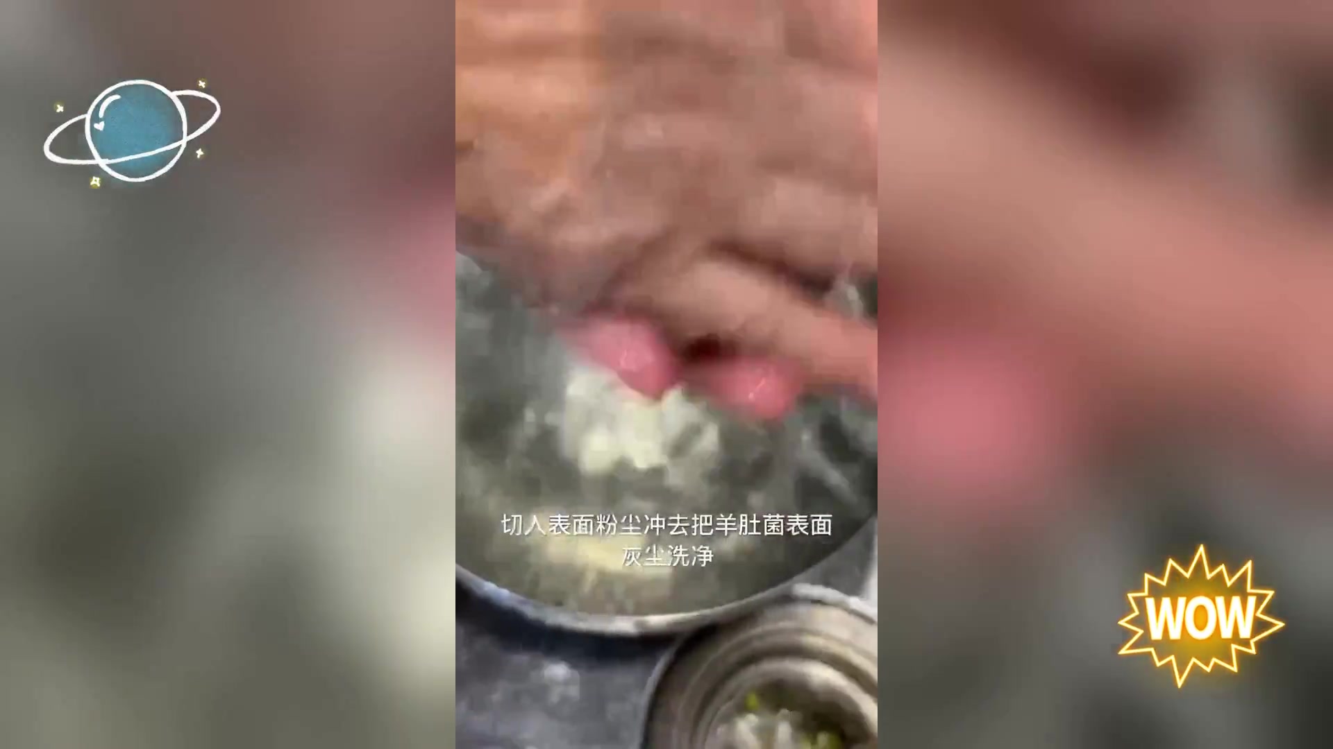 羊肚菌泡发教程 一看就会