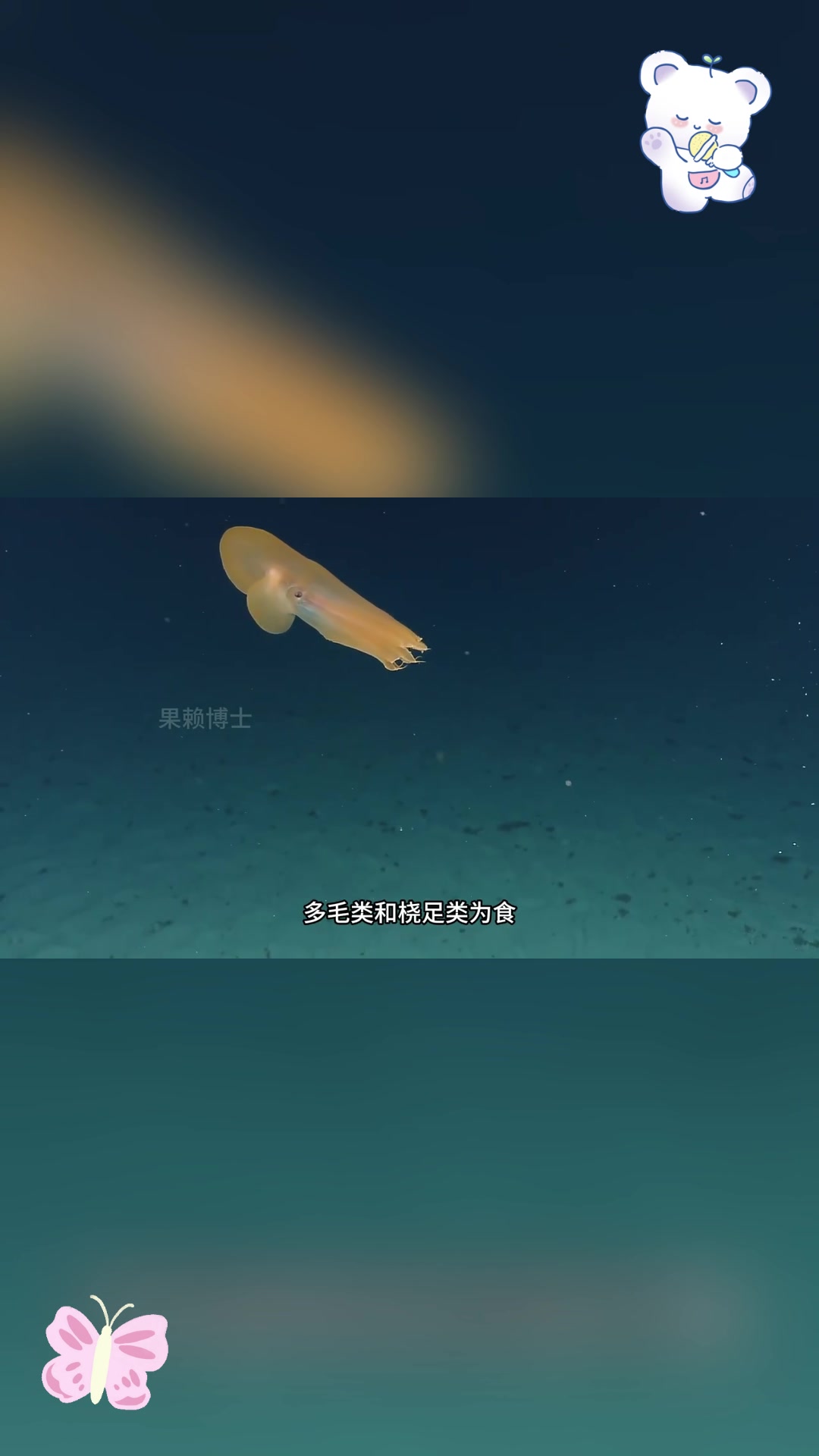 小飞象章鱼:梦幻与现实的交汇