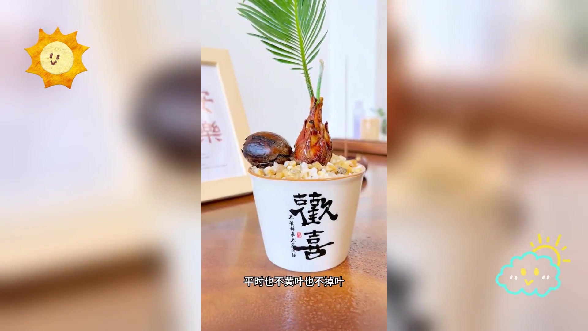 铁公鸡昵称之谜: 铁树之称