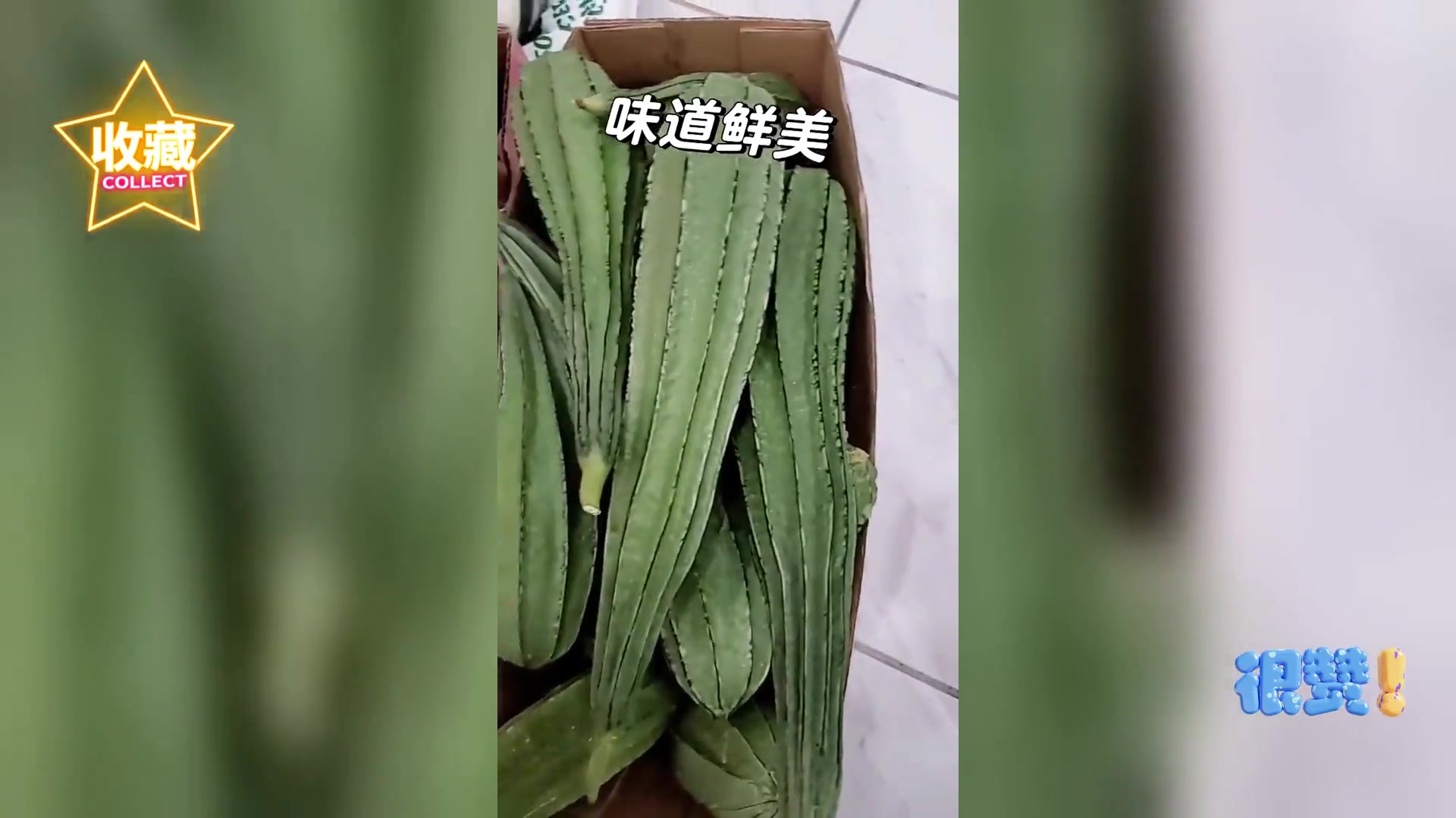 棱丝瓜 丝瓜界的清新佳人 鲜美非凡