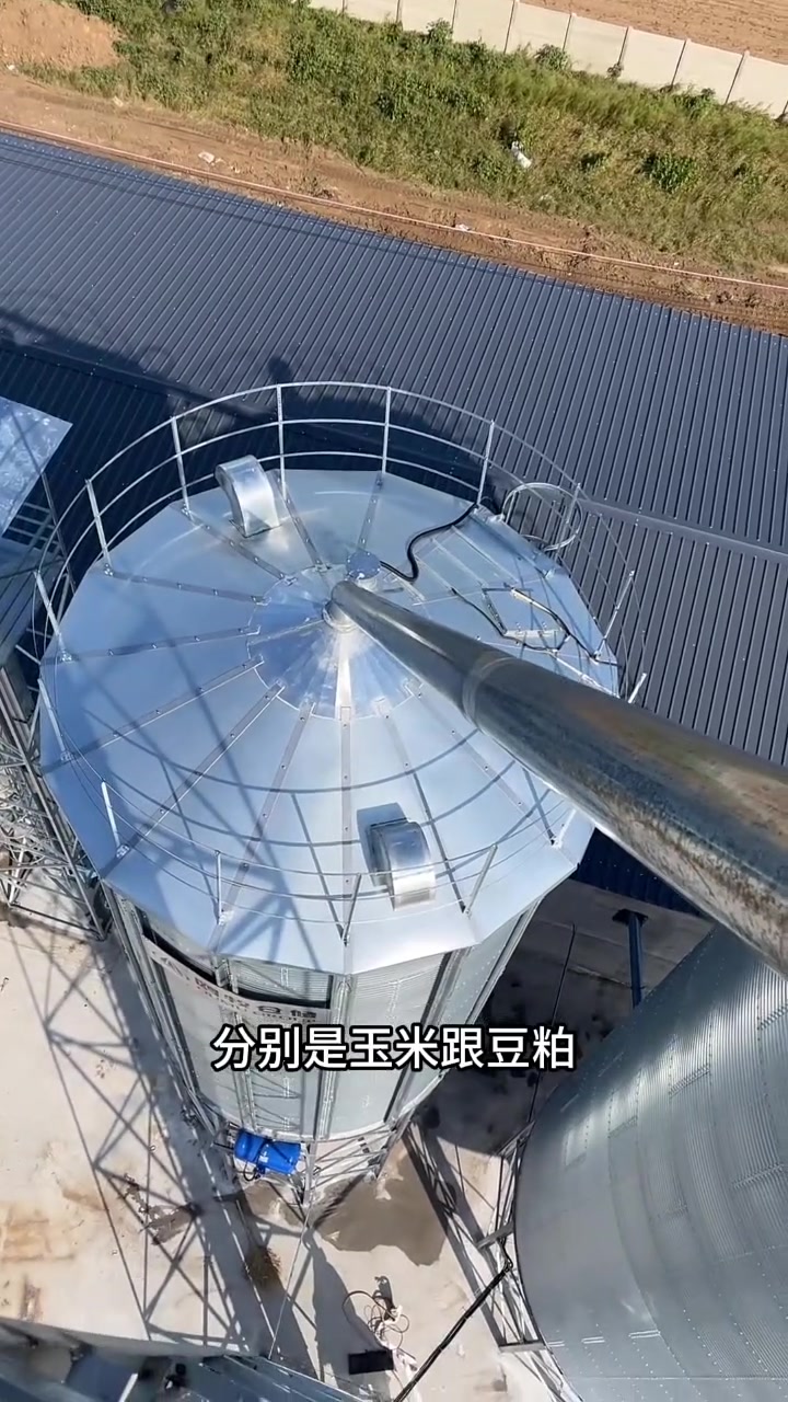 揭秘蛋鸡养殖场是如何降低饲料成本,再到全自动化喂养蛋鸡的。钢板仓 粮食钢板仓 蛋鸡养殖 蛋