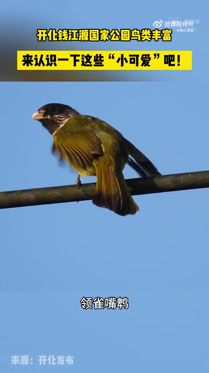 「衢州人有块传家翡翠」北纬30度线上有一块巨大的翡翠,恰好落在衢州市的开化县,这就是钱江源