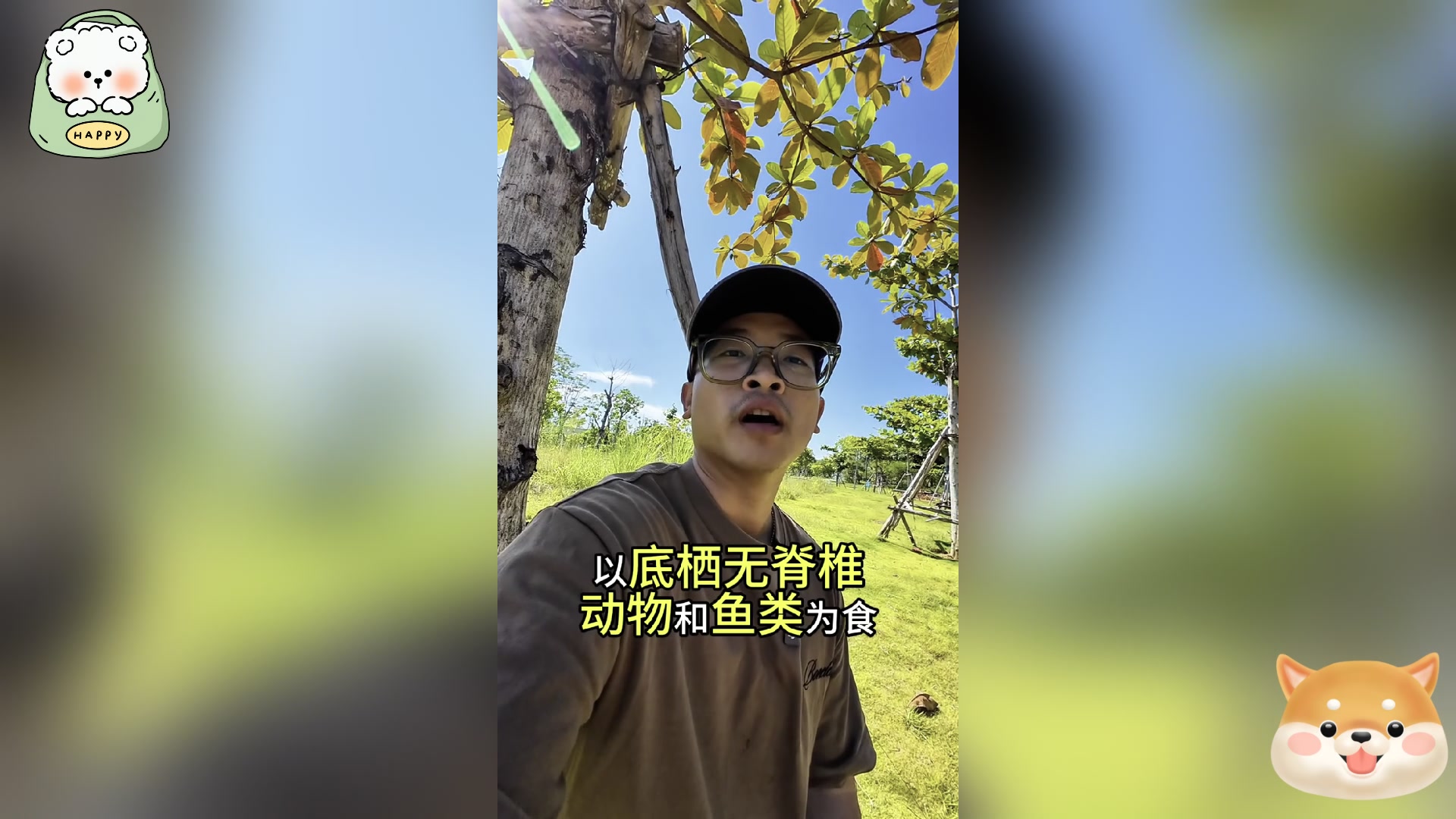 比目鱼和多宝鱼,你真的能分清吗?