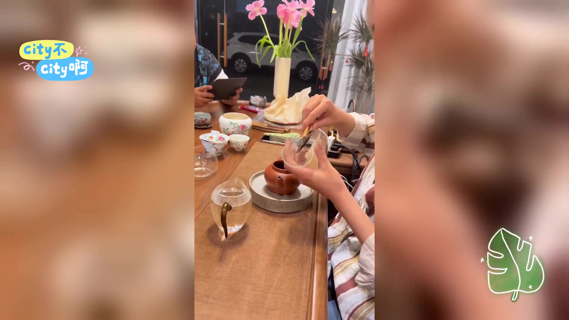 品鉴02年班章大白菜 奢华茶韵 一饼尽享尊贵体验