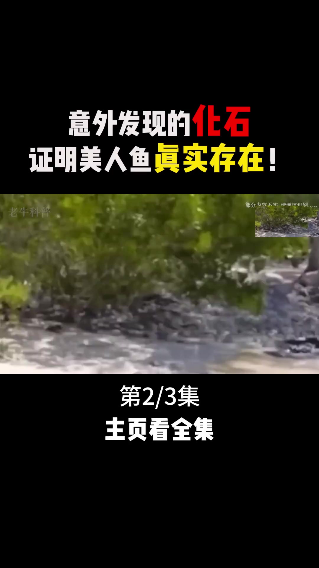 一件件目击事件!美人鱼的样貌令人大跌眼镜!(2)