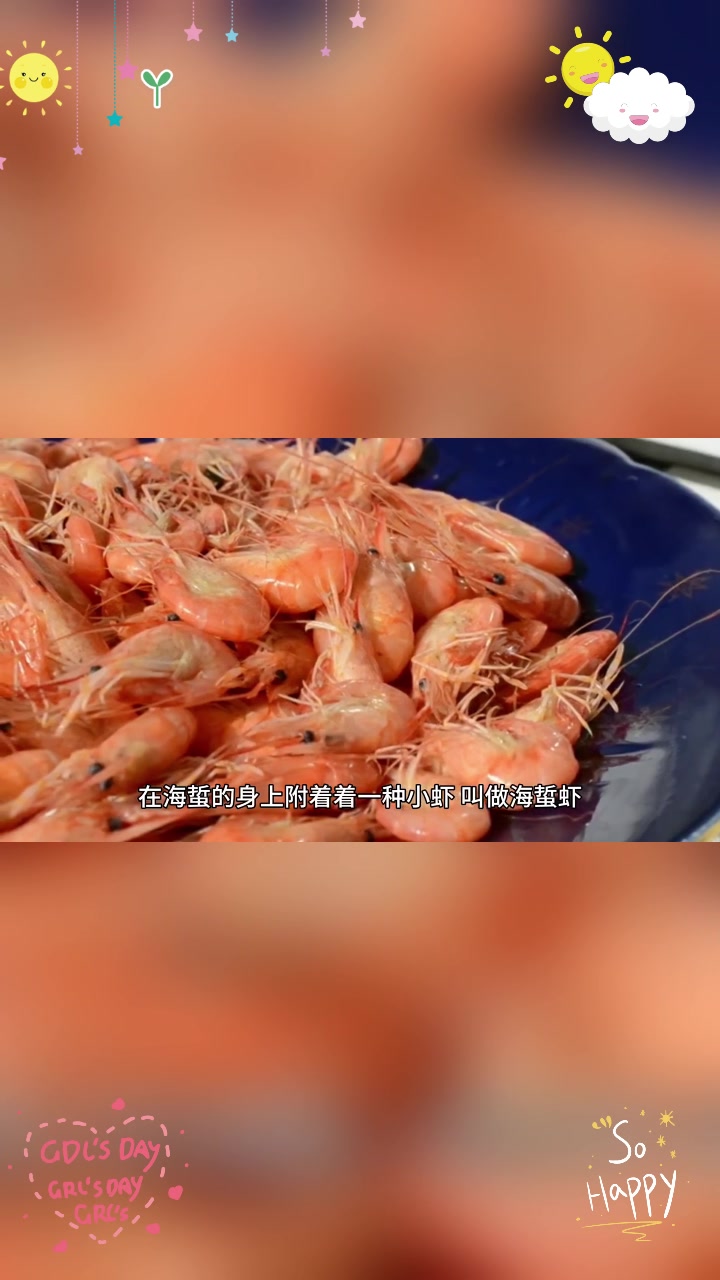 没有眼睛的海蜇如何“看”世界?
