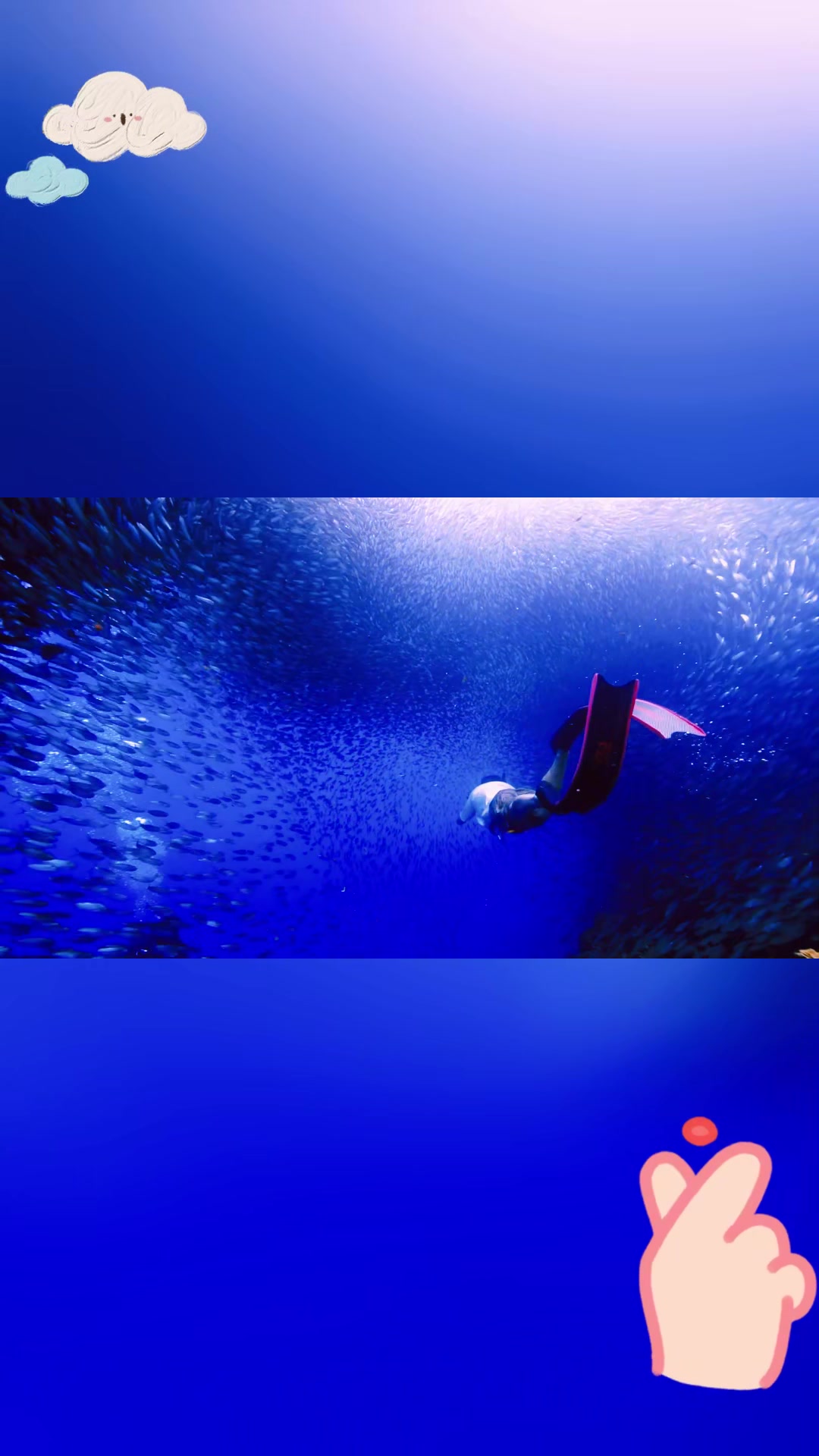 沙丁鱼风暴席卷薄荷岛,震撼奇观令人叹为观止!