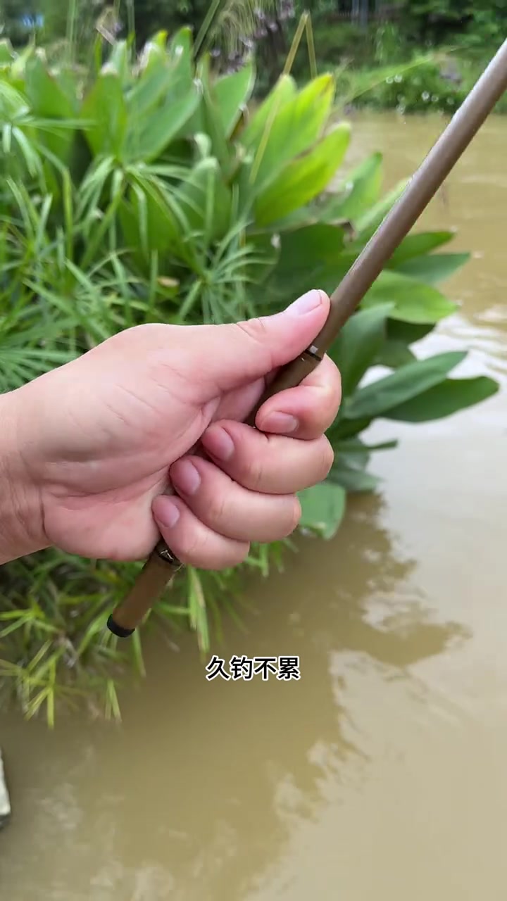短节溪流竿,收缩起来长度仅40公分携带非常方便,国庆带上去钓鱼非常方便