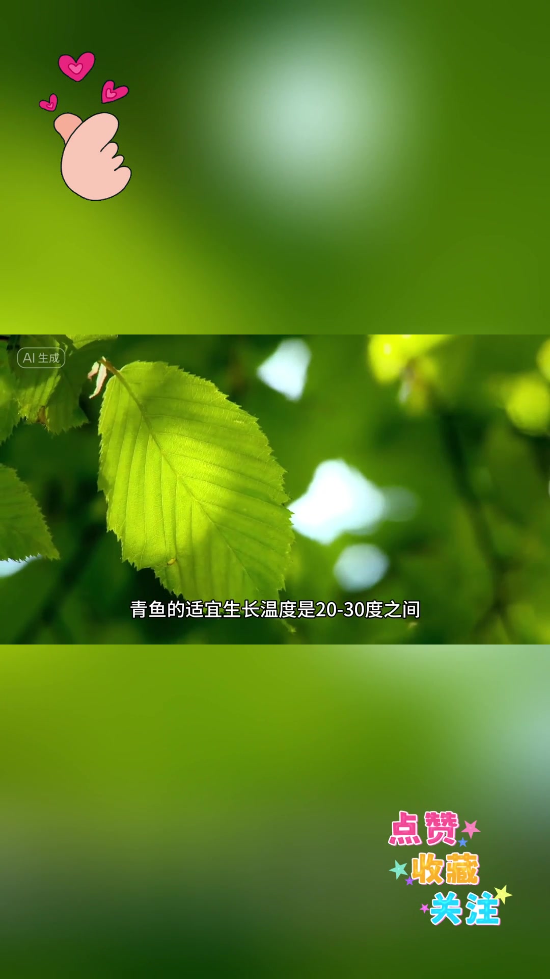 养大青鱼的秘诀!青鱼养殖技巧大揭秘