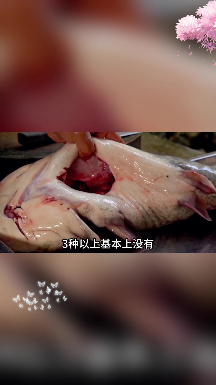 江团非鲶鱼,二者大不同