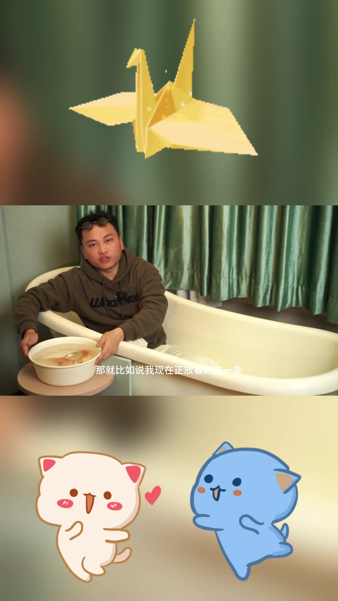 购买极品金鱼的技巧与浴缸里金鱼的科普