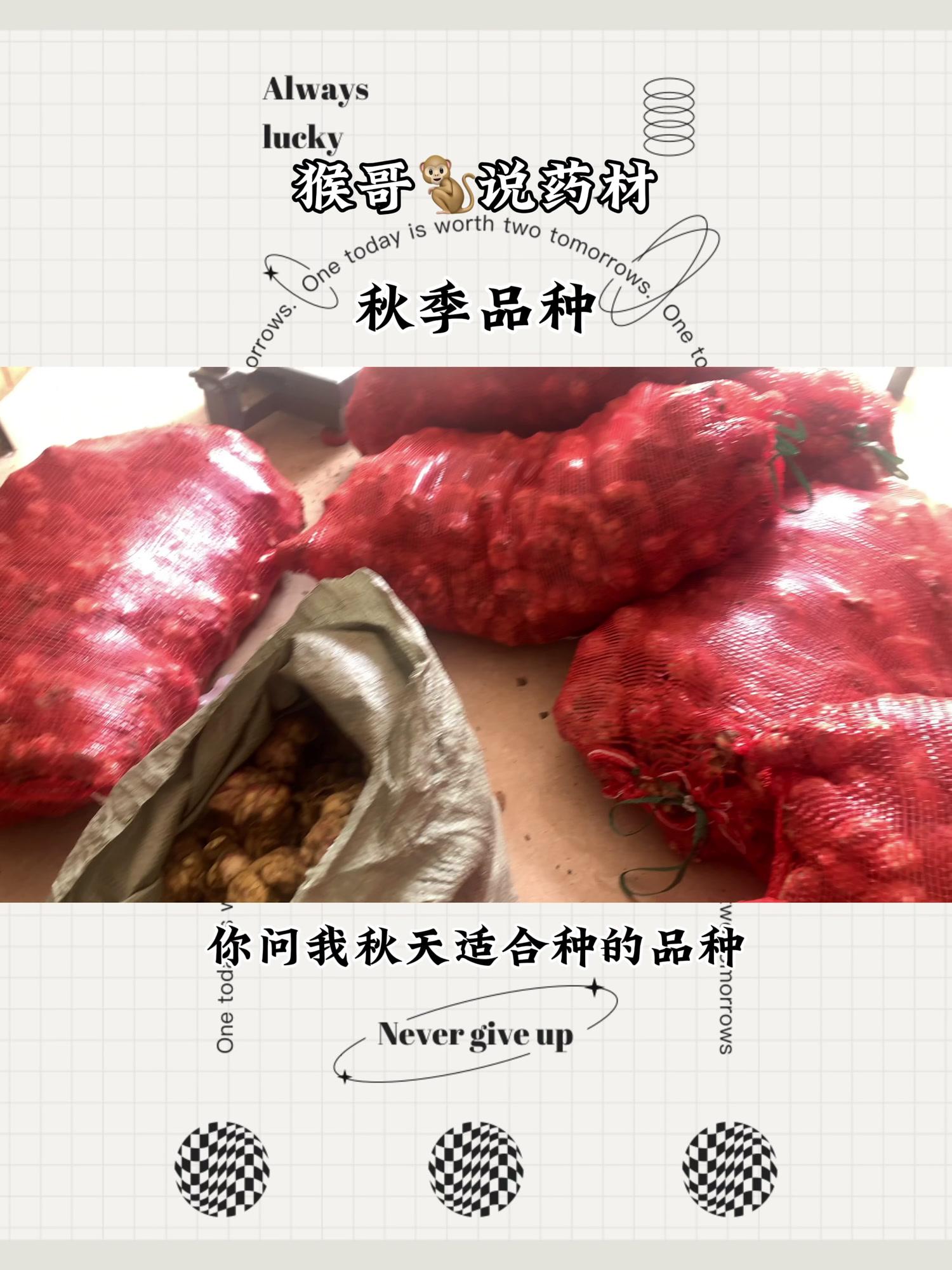 适合秋季种植的中药材品种推荐