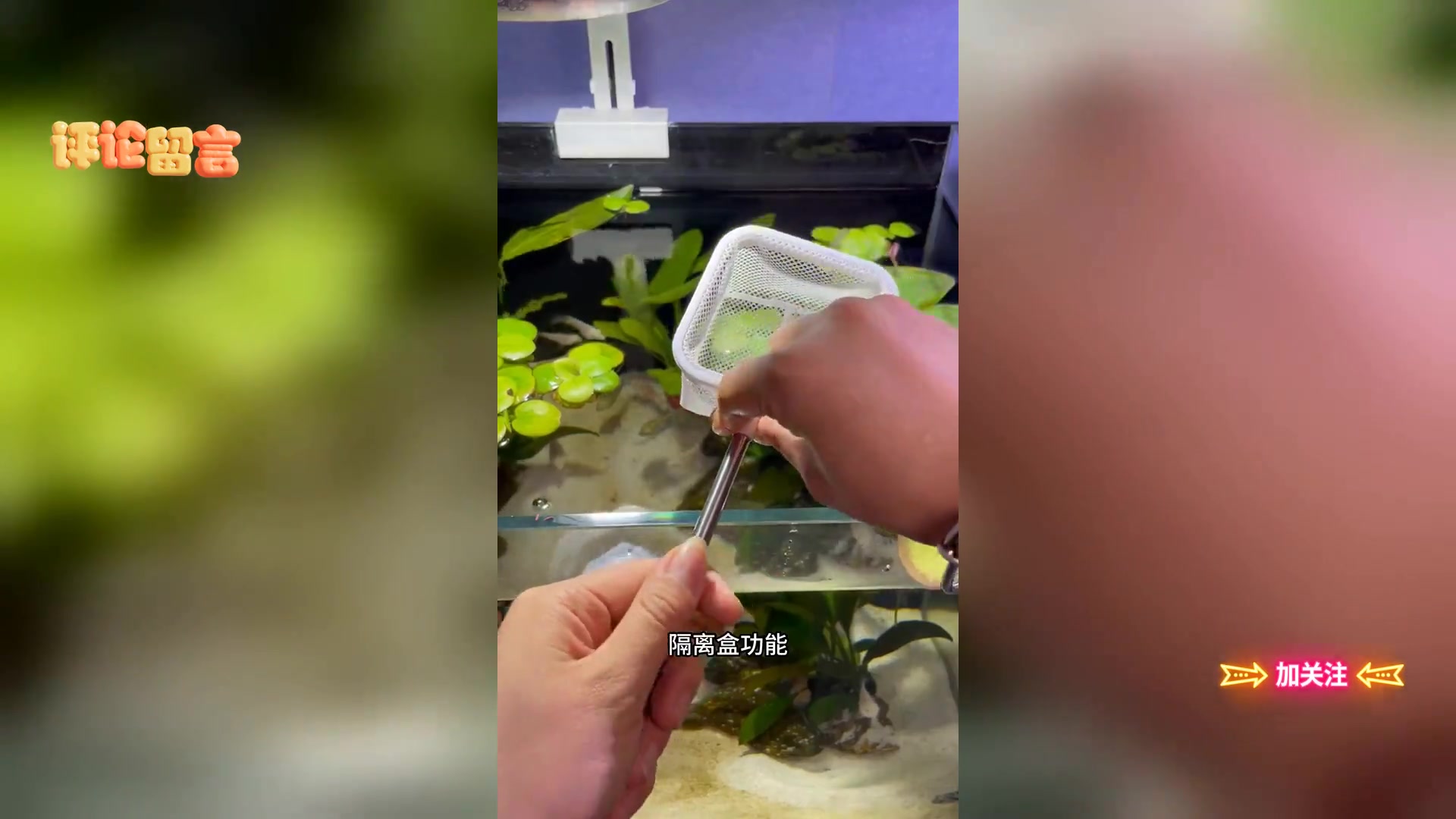 3D伸缩小鱼网: 便捷捞鱼 不伤水族新手必备