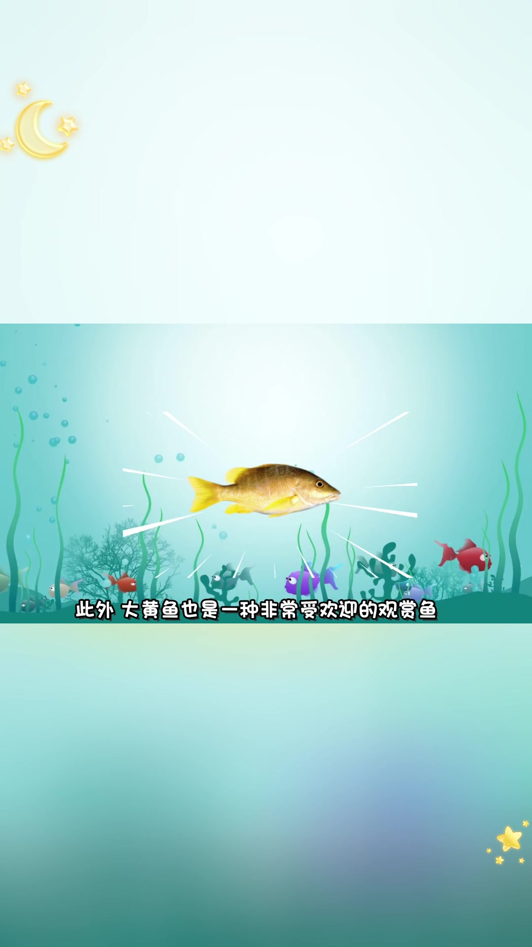 探秘大黄鱼:海洋瑰宝的奥秘